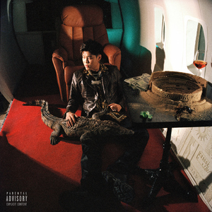 海角恋母少年最终结果
